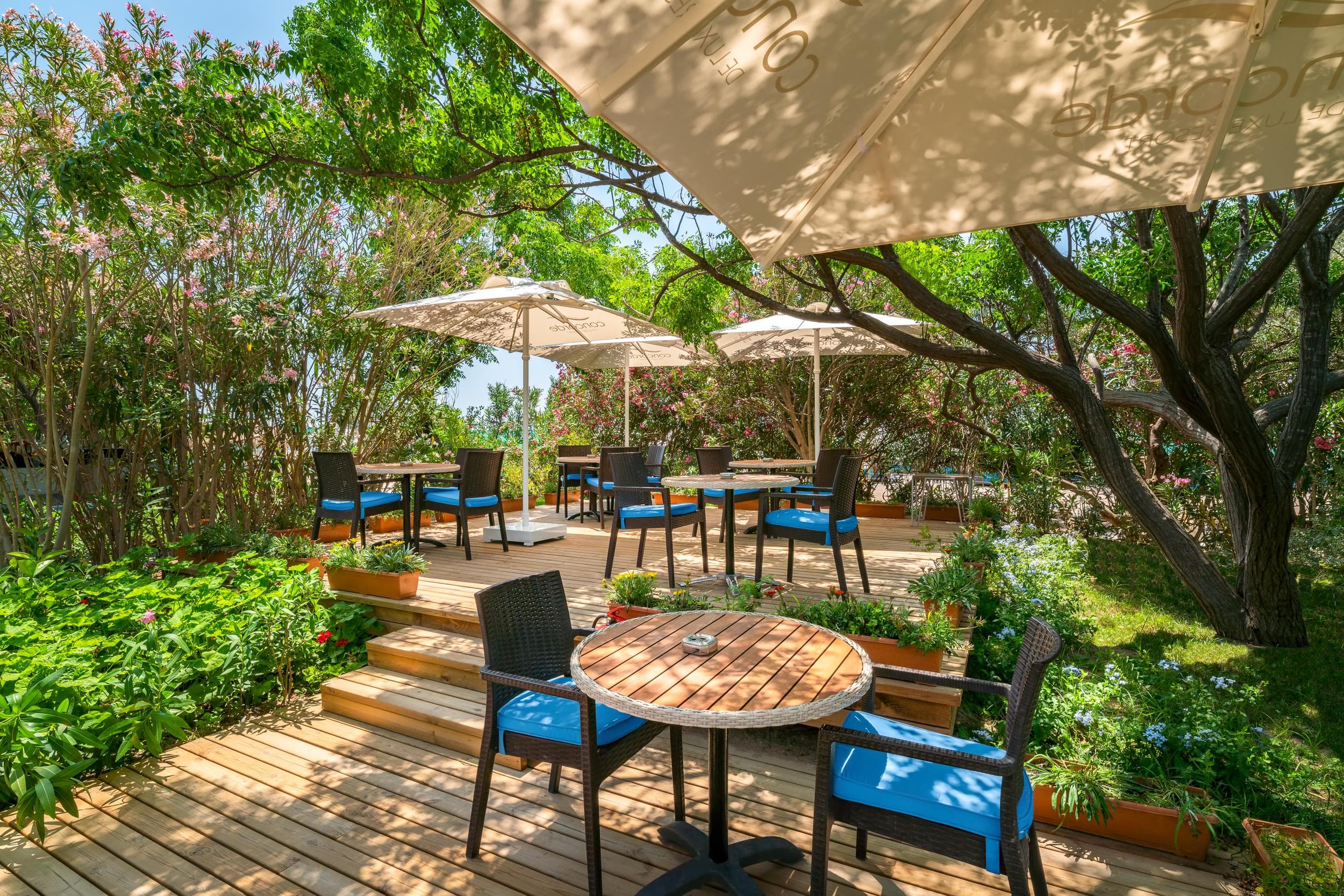 Concorde De Luxe - 126