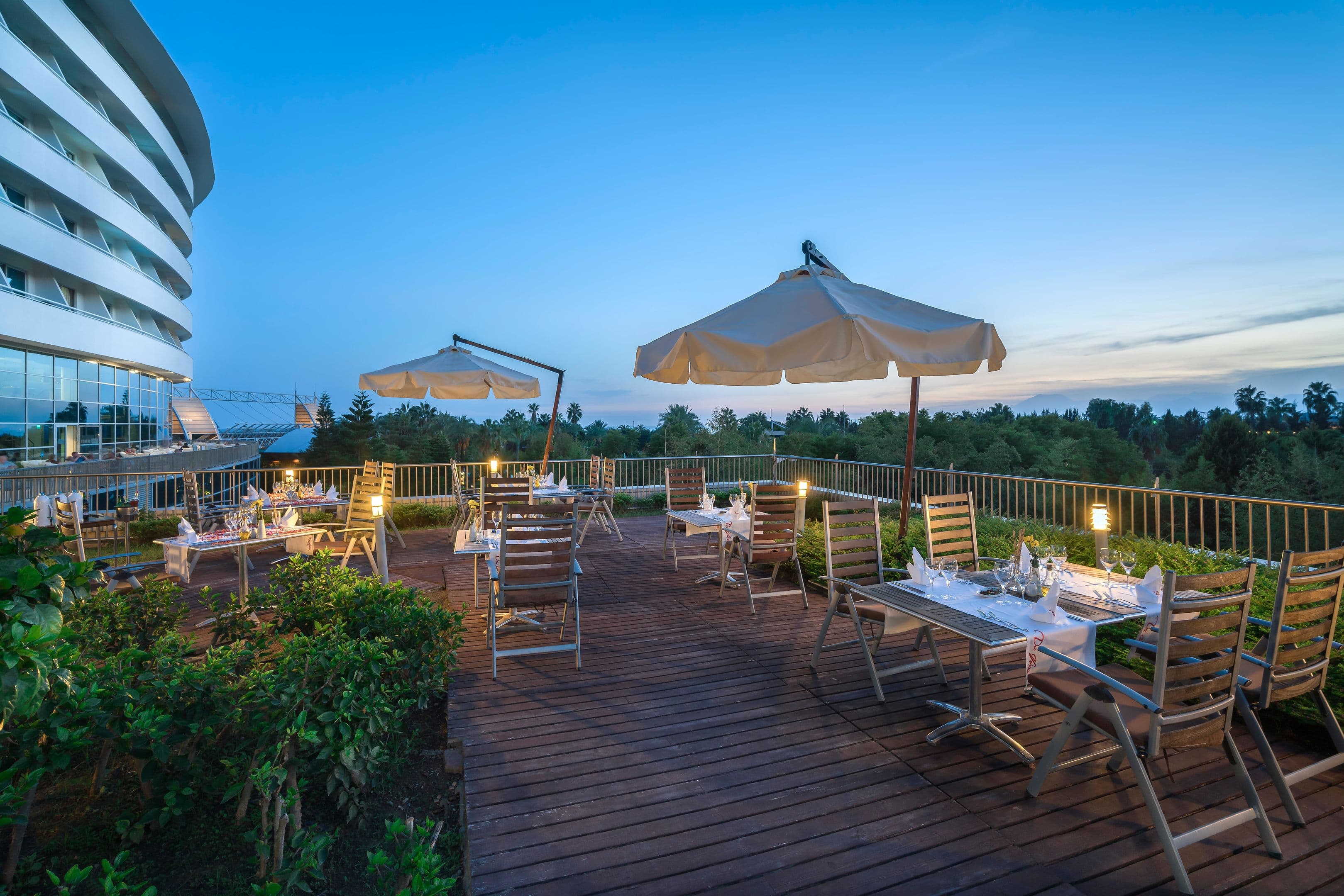 Concorde De Luxe - 133