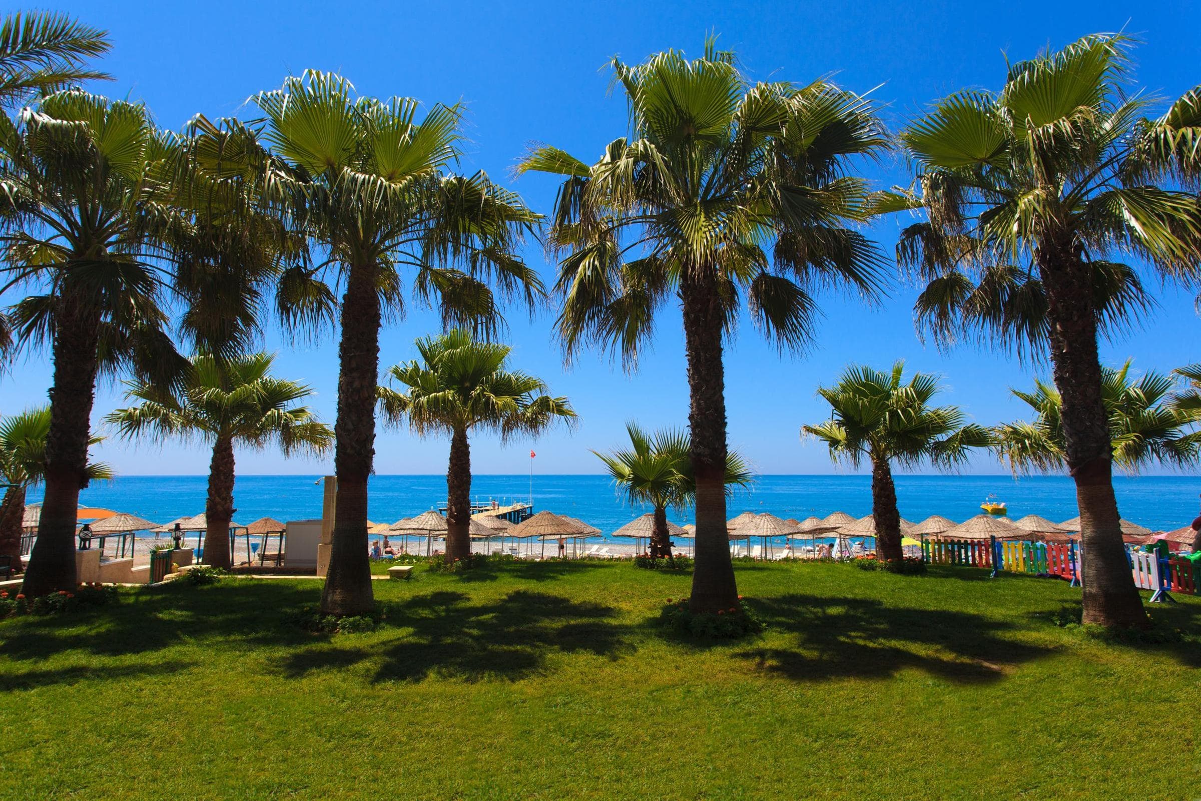 Charter Antalya - Hotel Galeri - 31