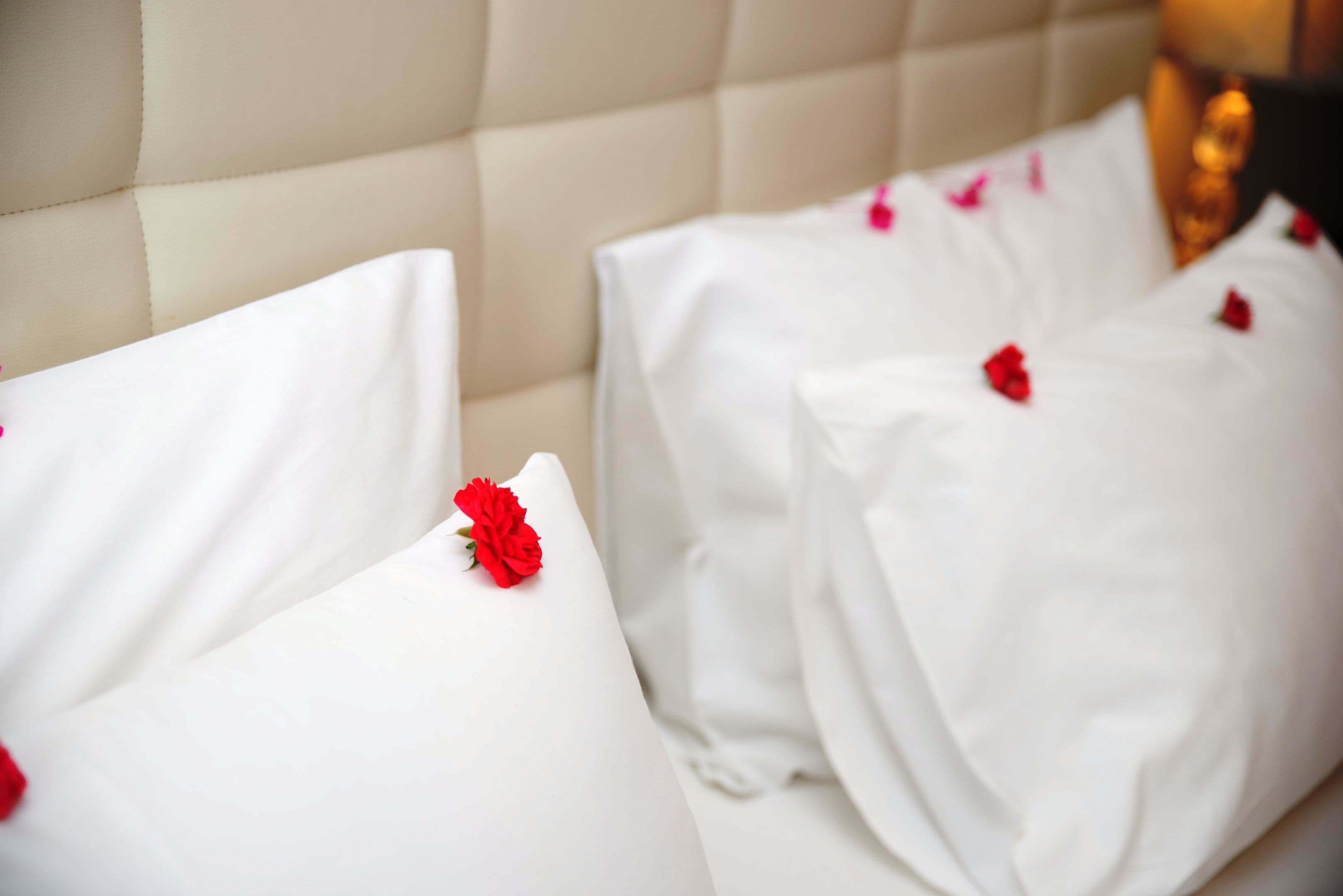 Faedra Beach Hotel - 59