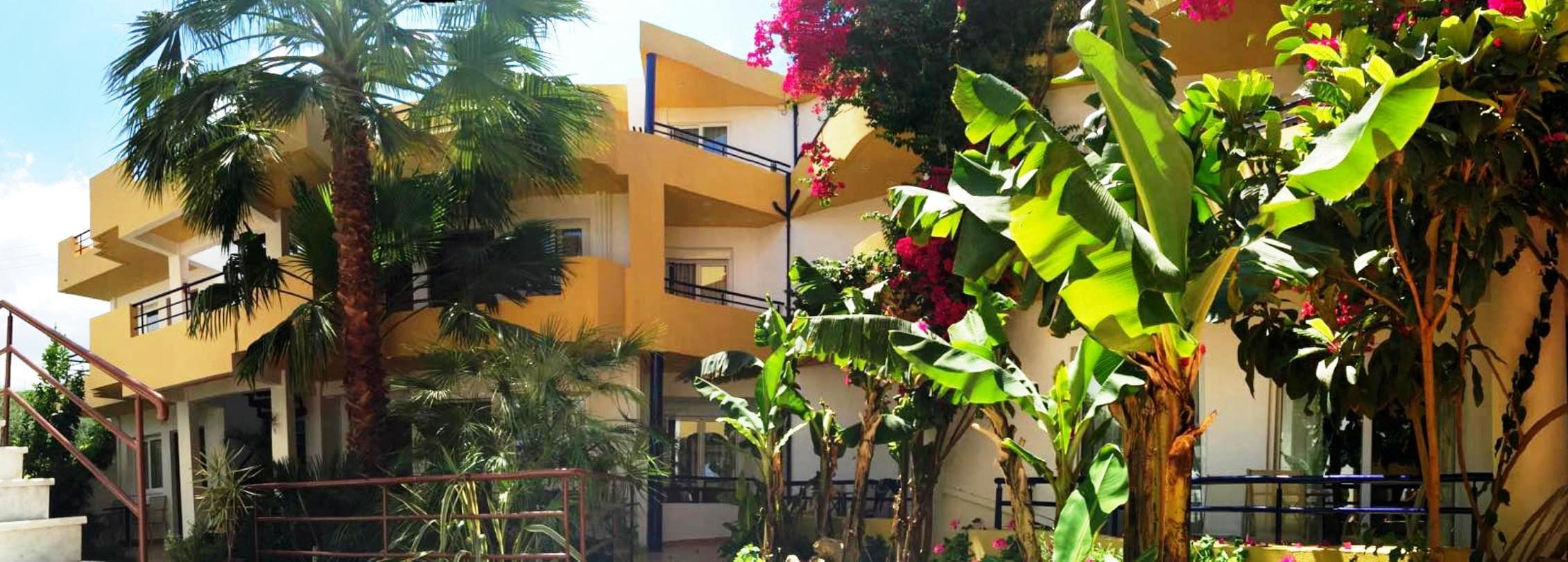 Faedra Beach Hotel - 65