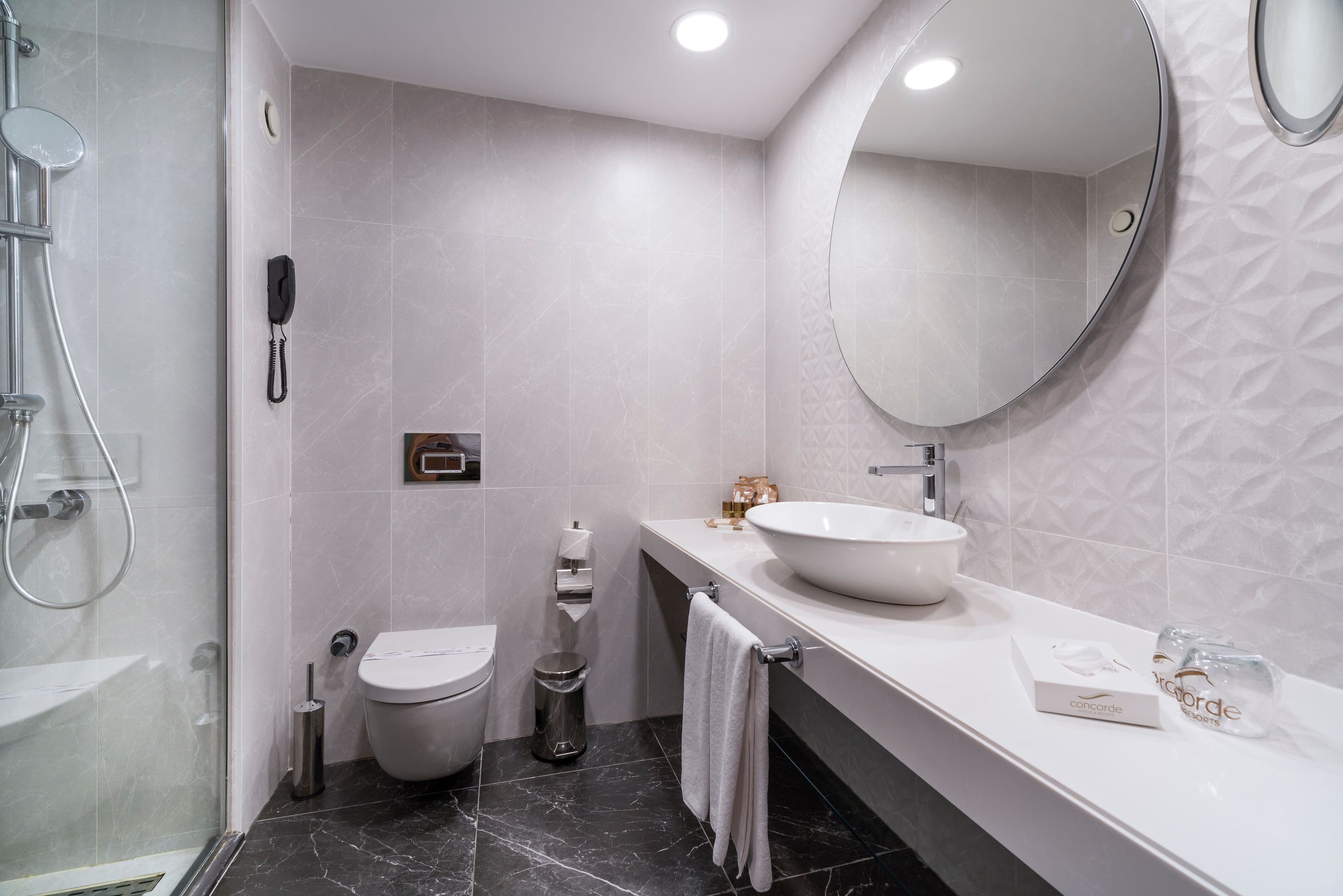 Concorde De Luxe - 35