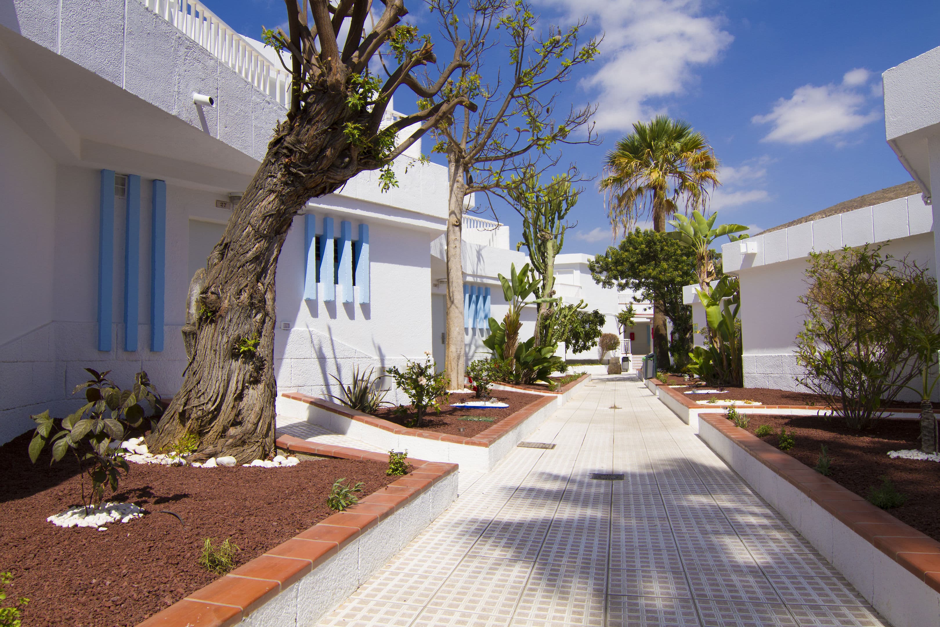 Hotel Check In Atlantida - 73