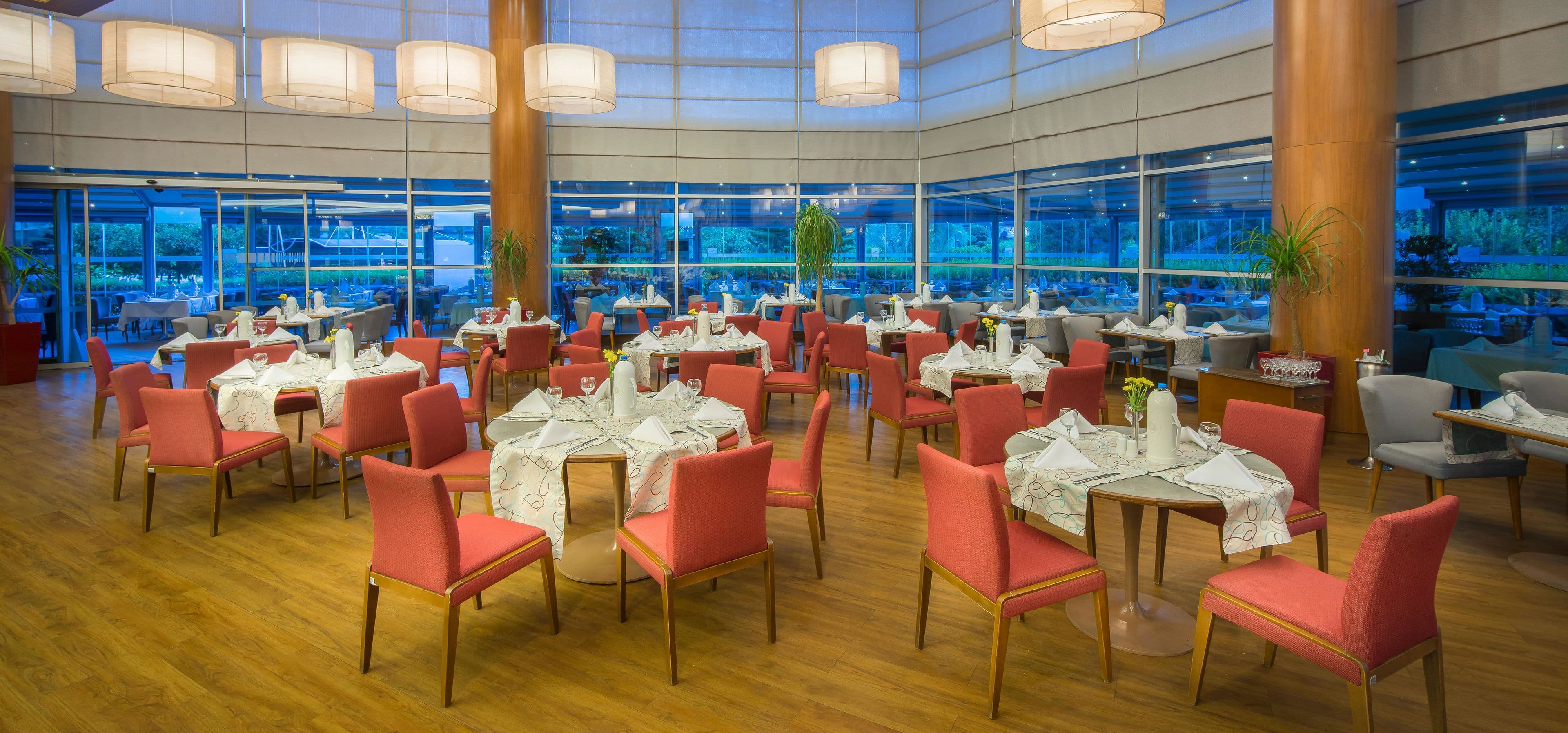 Concorde De Luxe - 74