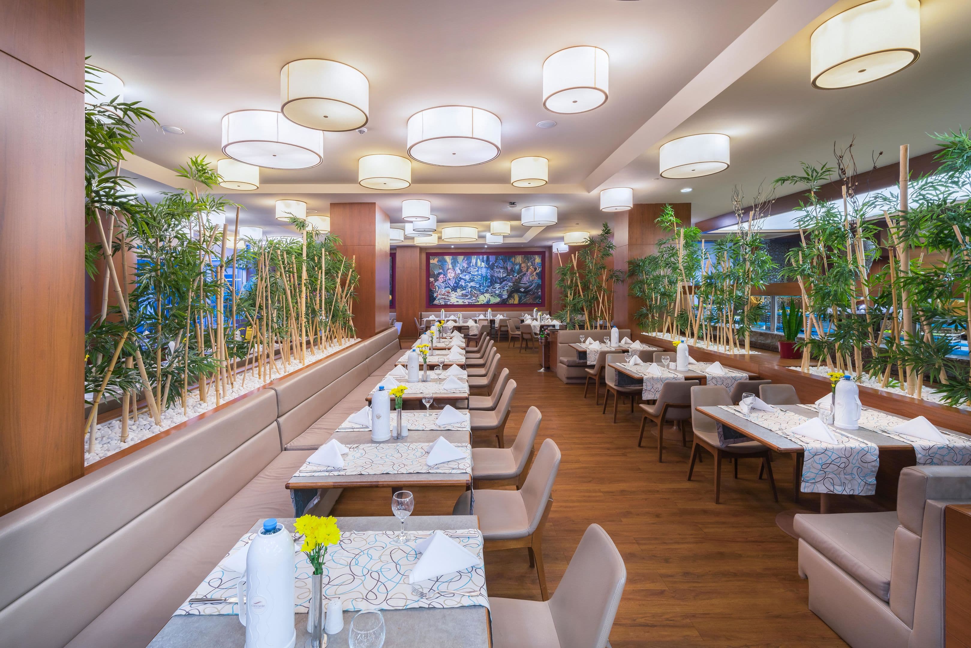 Concorde De Luxe - 75