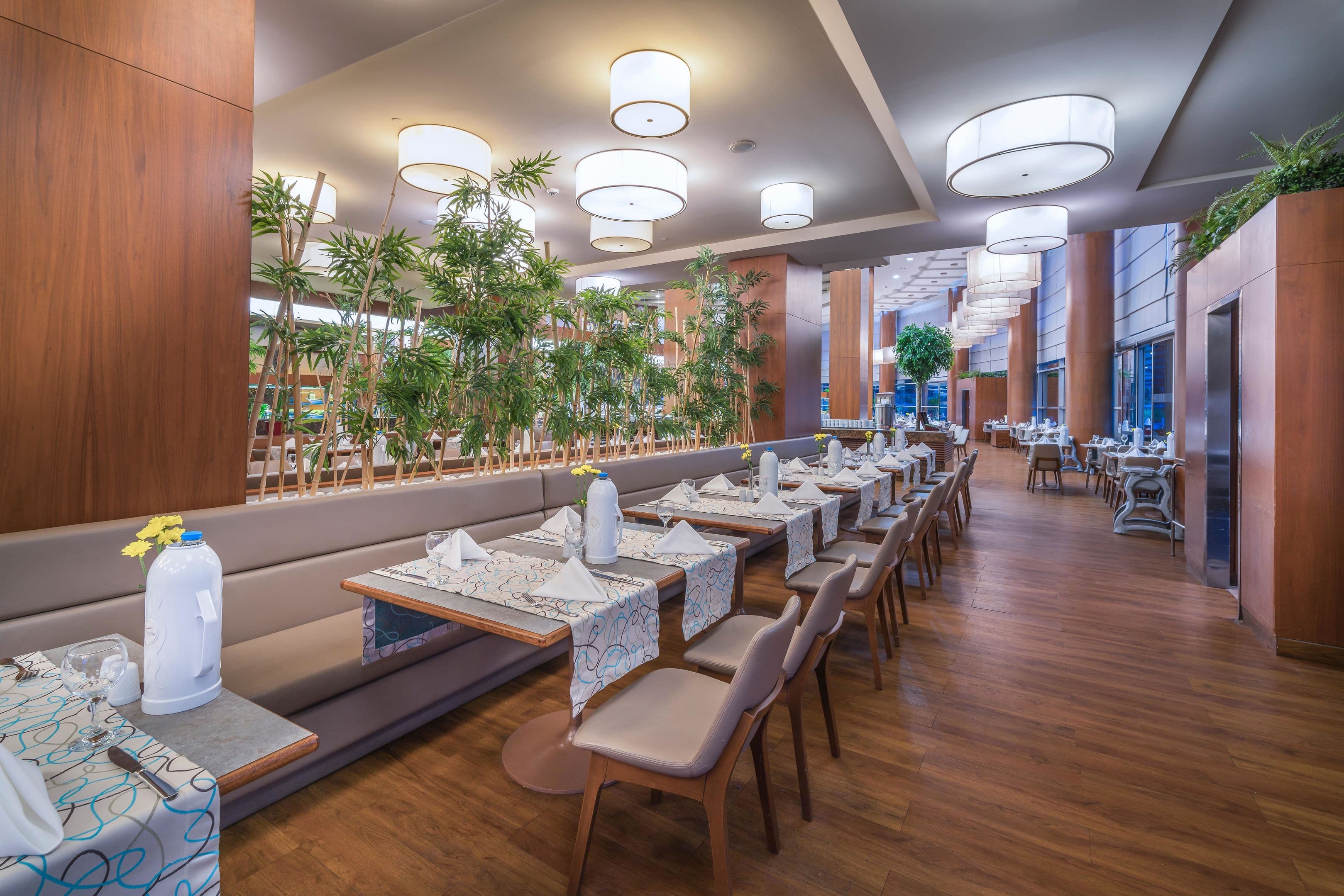 Concorde De Luxe - 78