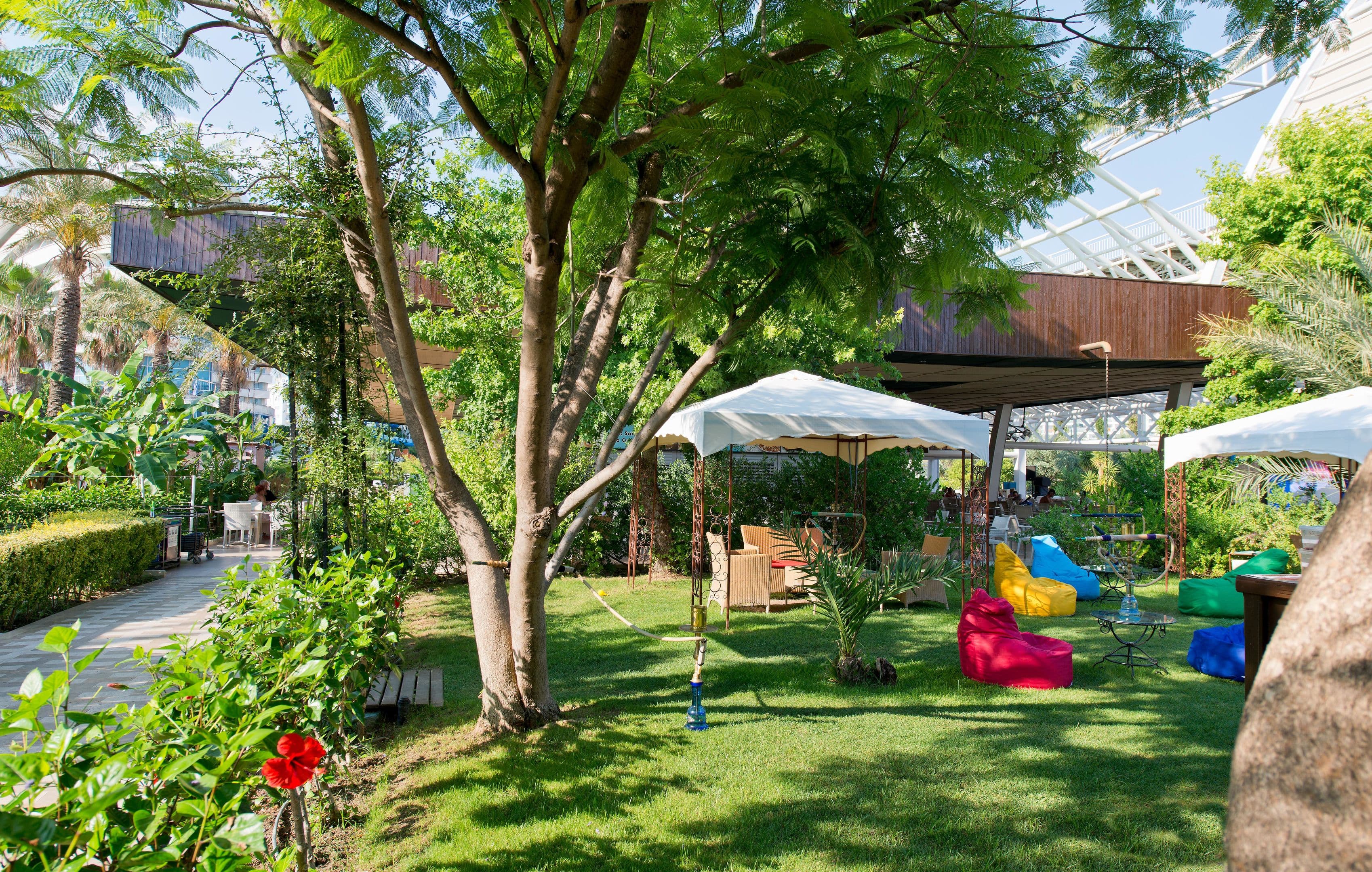 Concorde De Luxe - 93