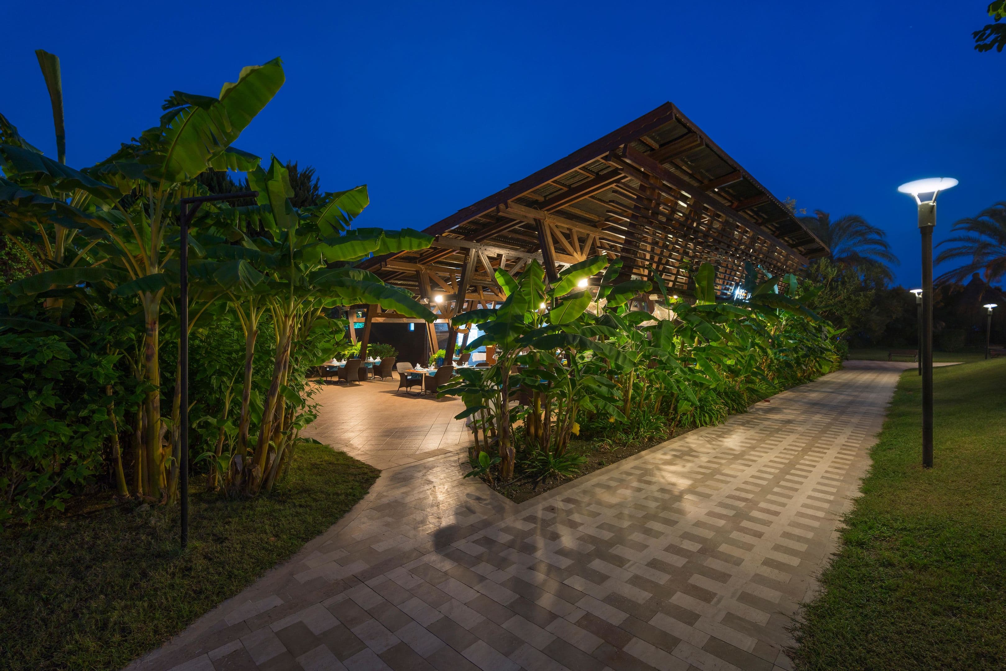 Concorde De Luxe - 95