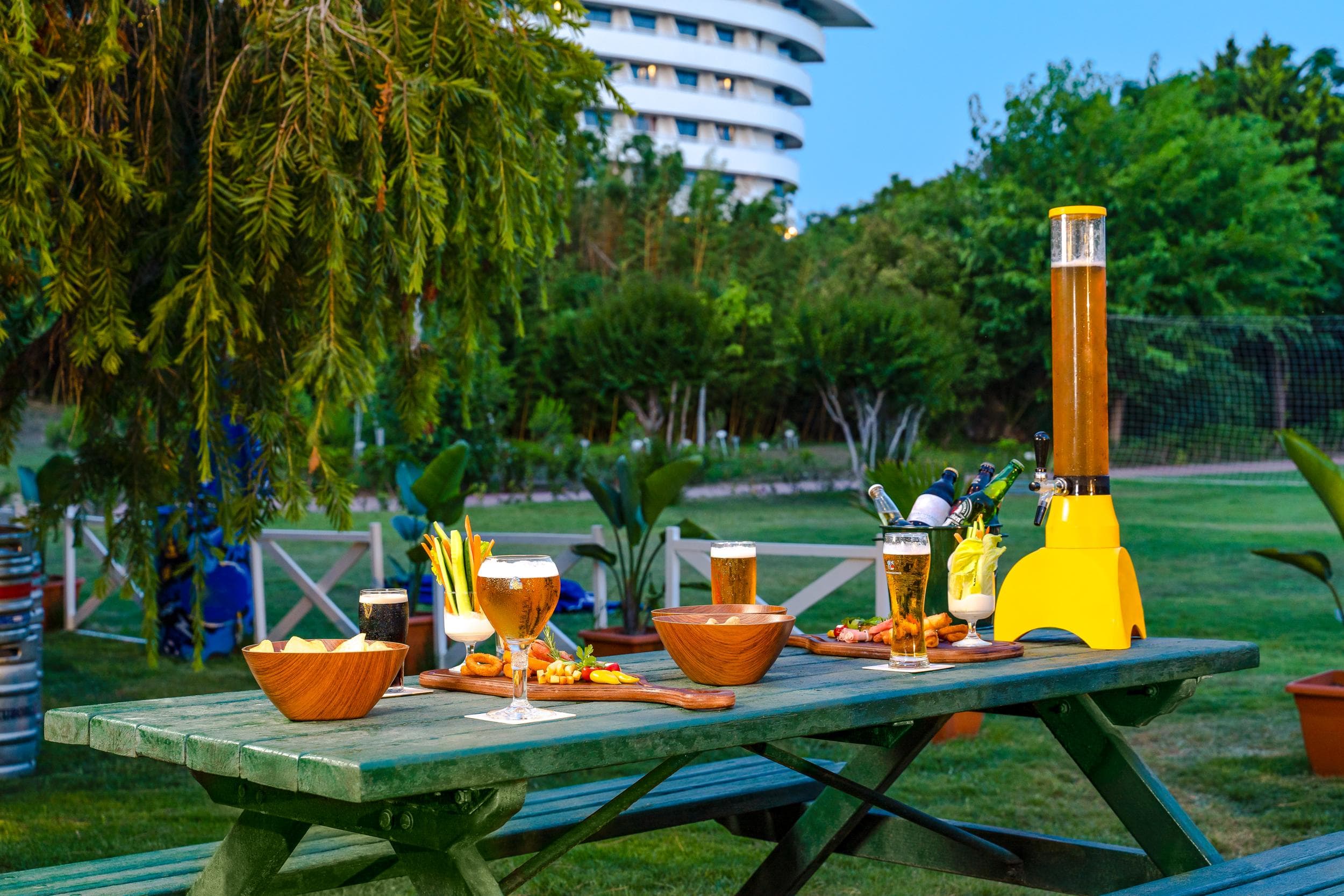 Concorde De Luxe - 110