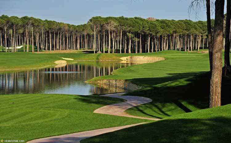 Hotel Bellis Deluxe - 7