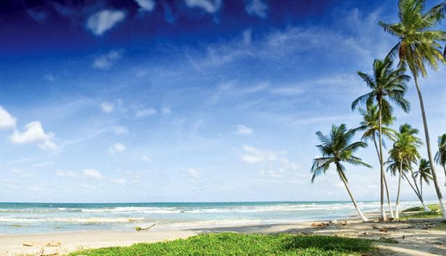 Hotel Bluebay Grand Esmeralda - 7