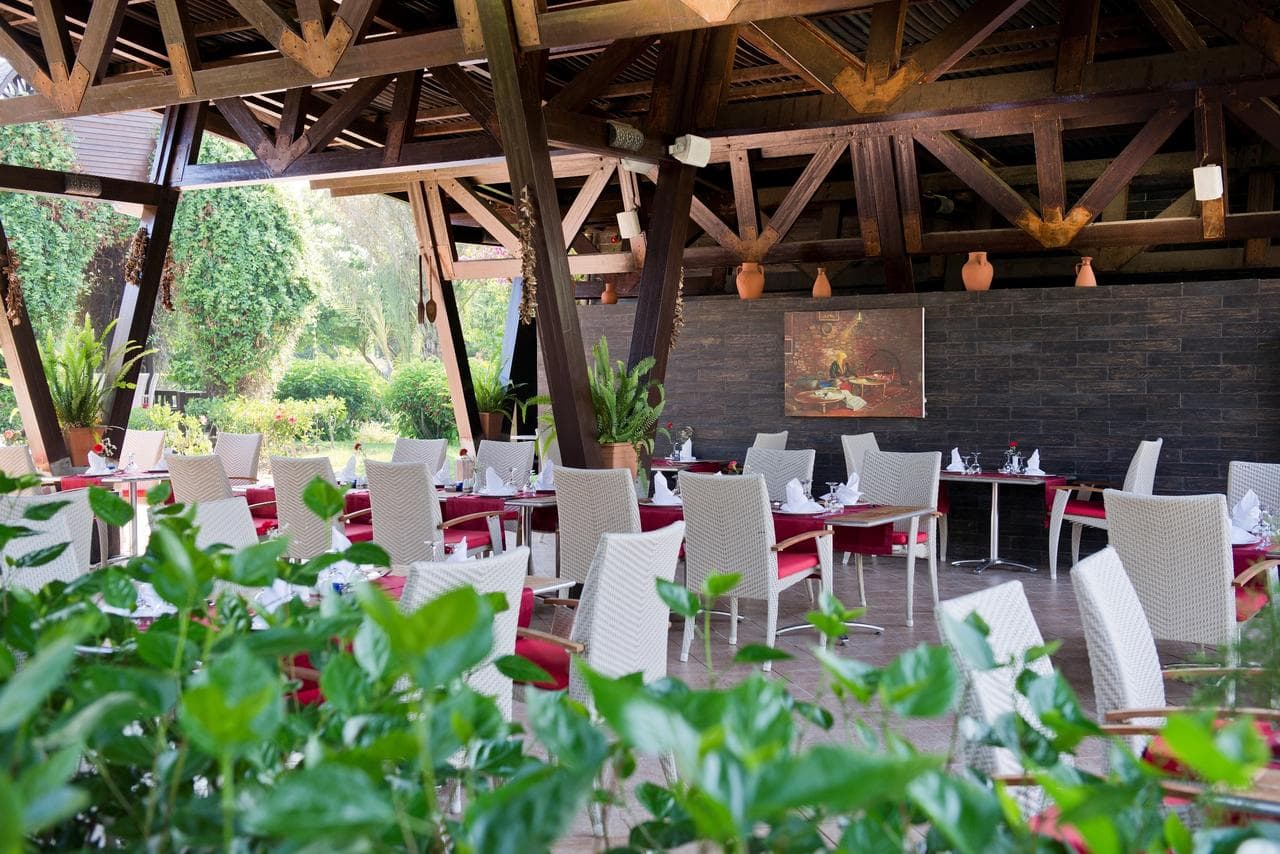 Concorde De Luxe - 9