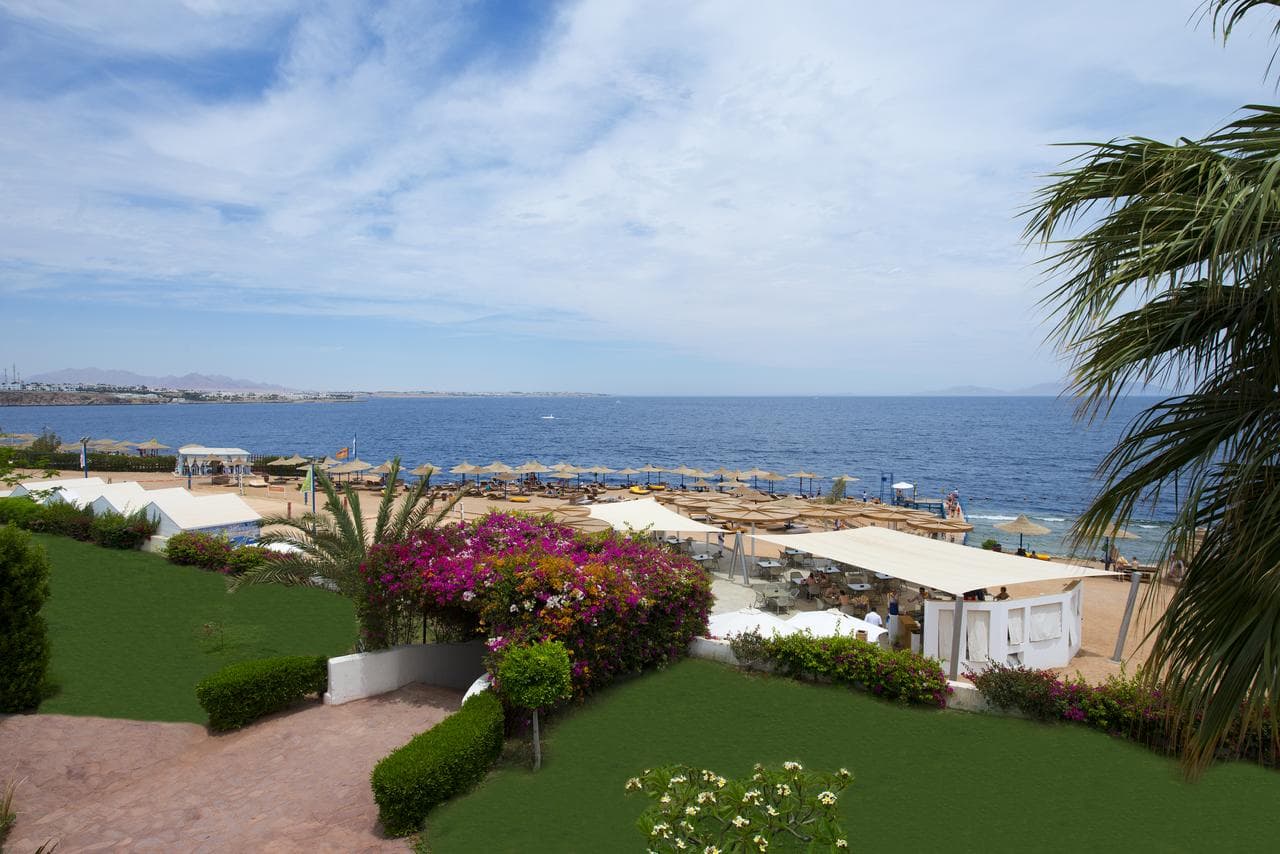Amphoras Aqua Resort - Adult Only 12+ - 11