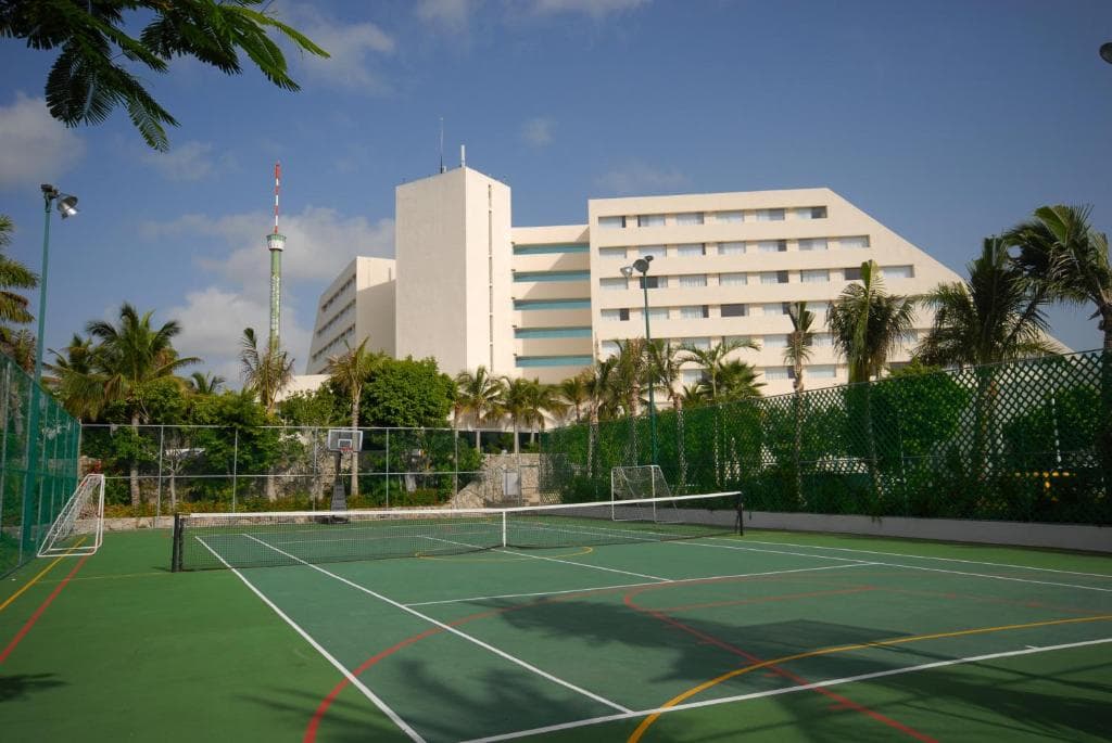 Oasis Palm - 43