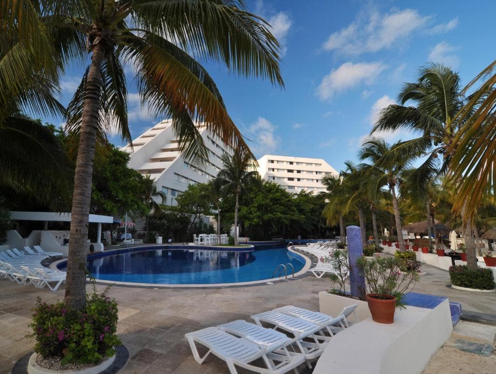 Oasis Palm - 8