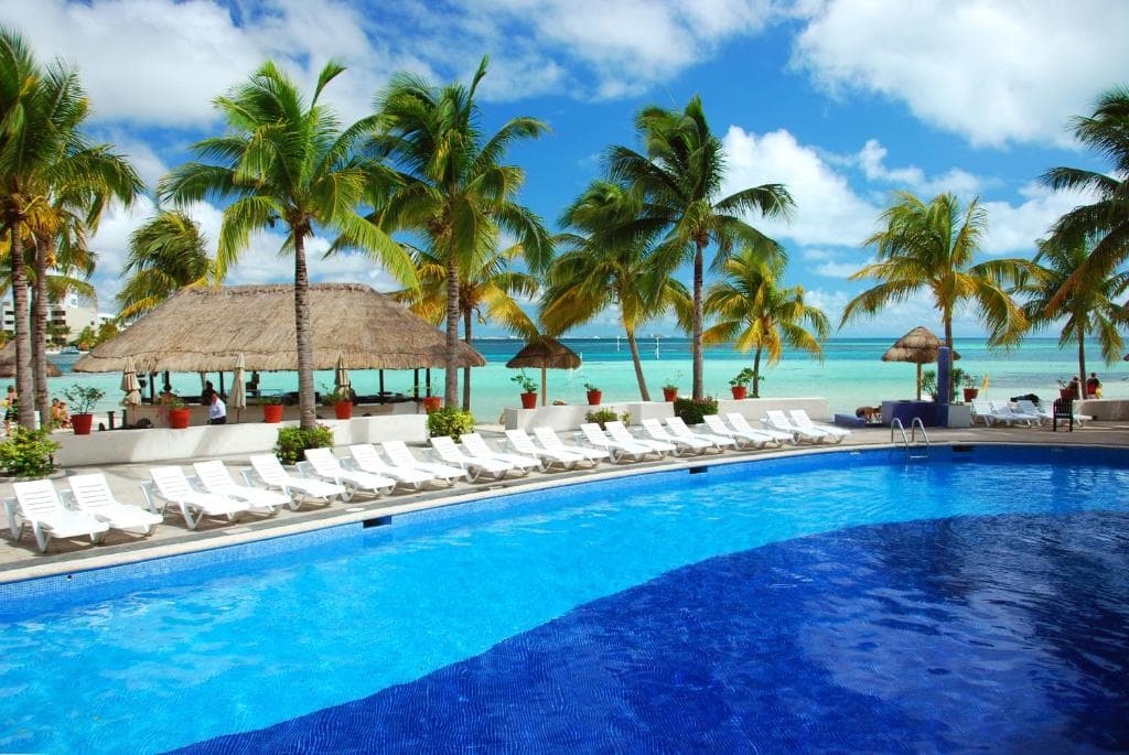 Oasis Palm - 7