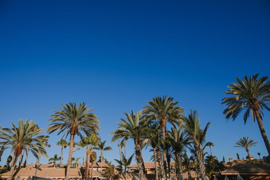 Maspalomas Resort by Dunas - 21