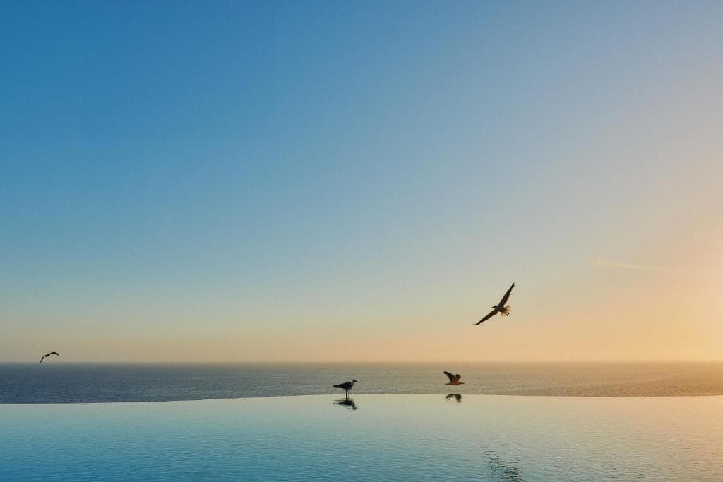 Gloria Palace Amadores Thalasso & Hotel - 9