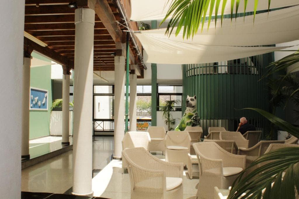 Hotel Green Field - 24