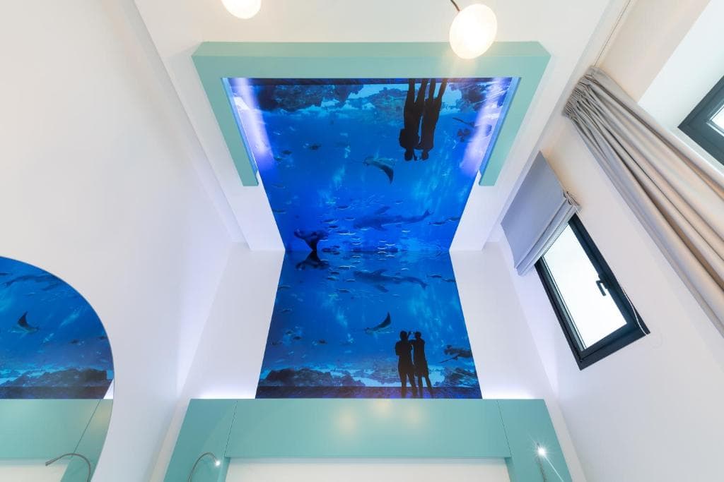 HD Acuario Lifestyle - 11