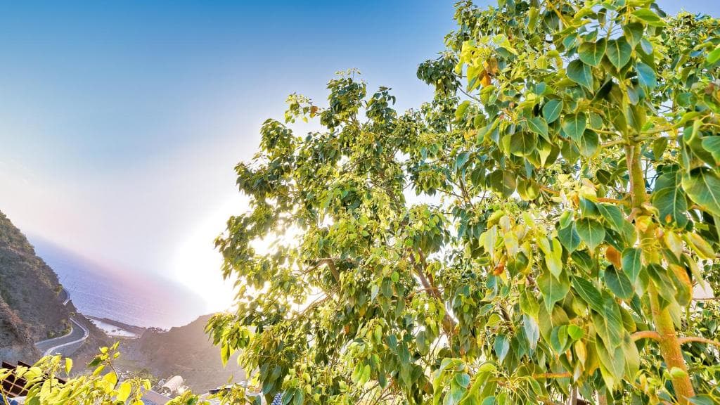 Apartamentos Roslara - 10