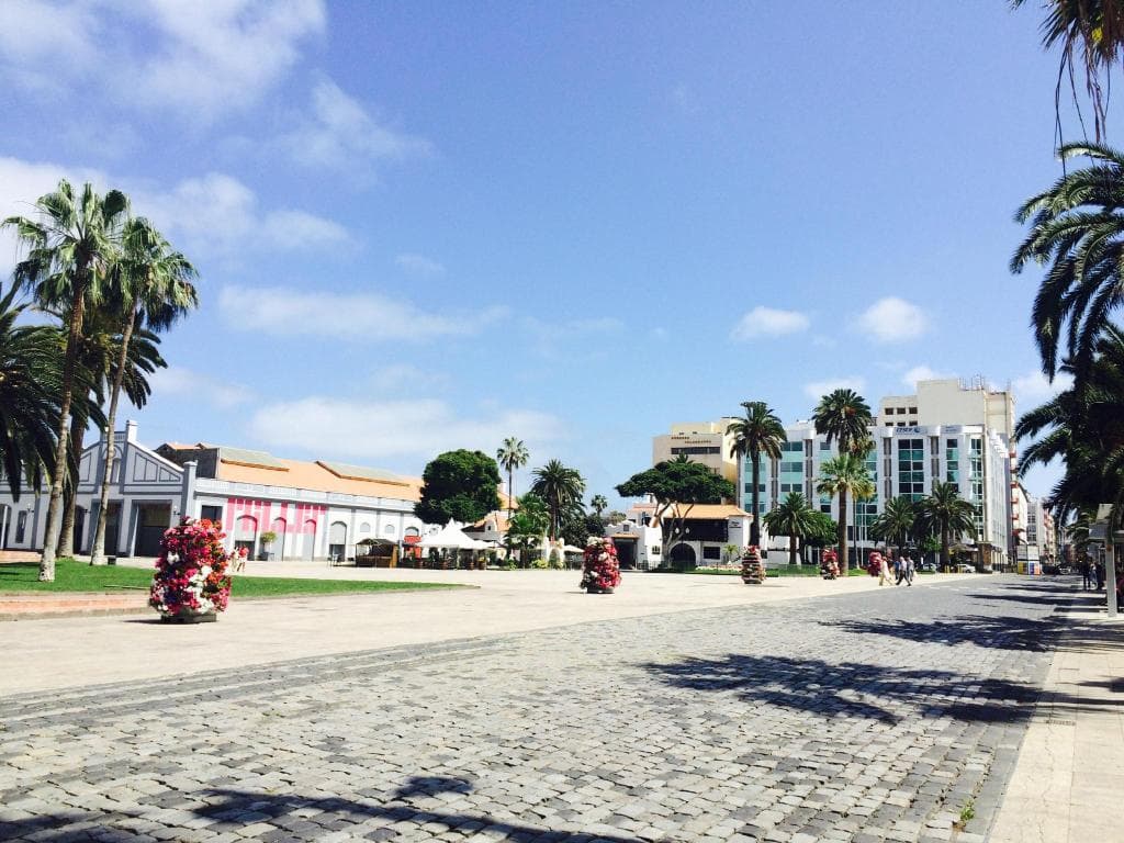 HD Acuario Lifestyle - 46