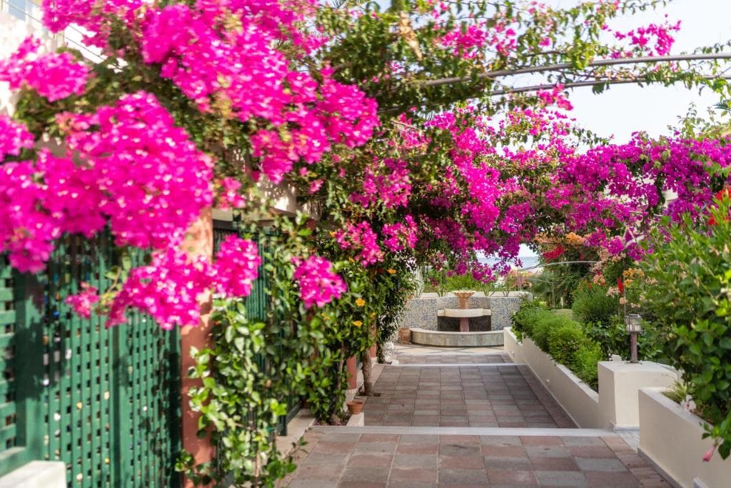 Hydramis Palace - 44