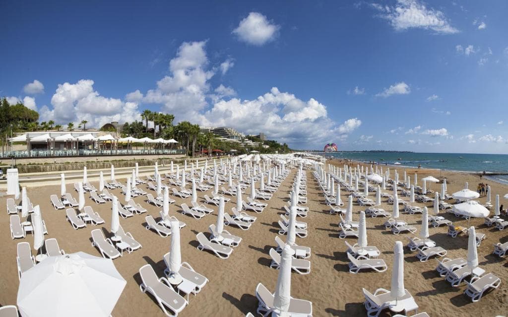 The Sense Deluxe - 15