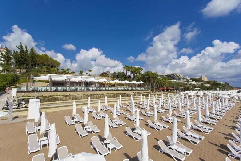 The Sense Deluxe - 22