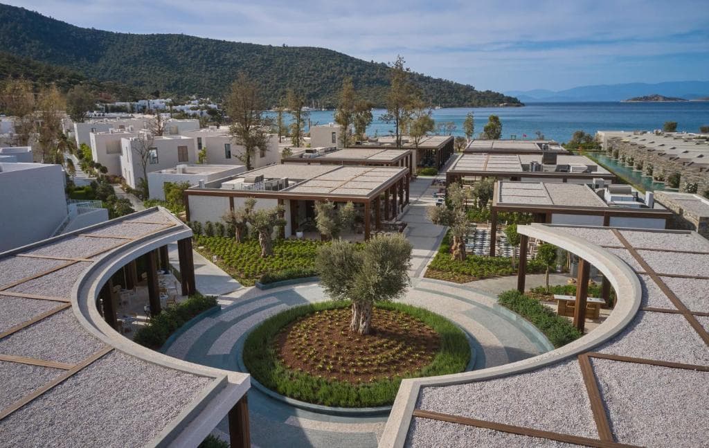 Voyage Torba - 23