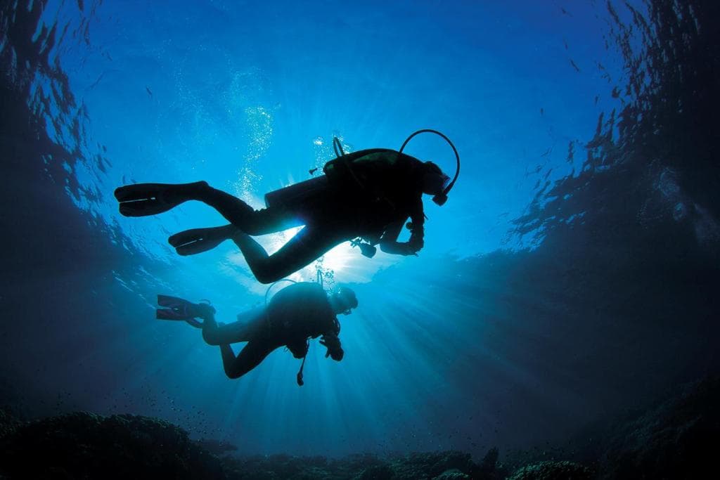 Liberty Lykia - Adults Only - 44