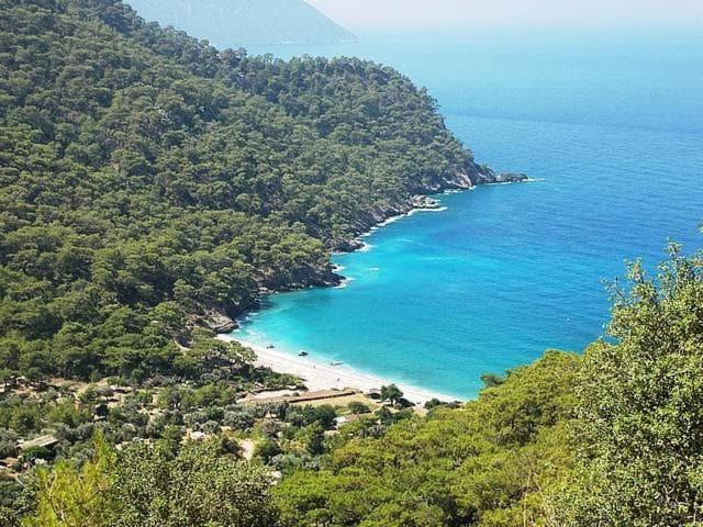 Montebello Resort - 33