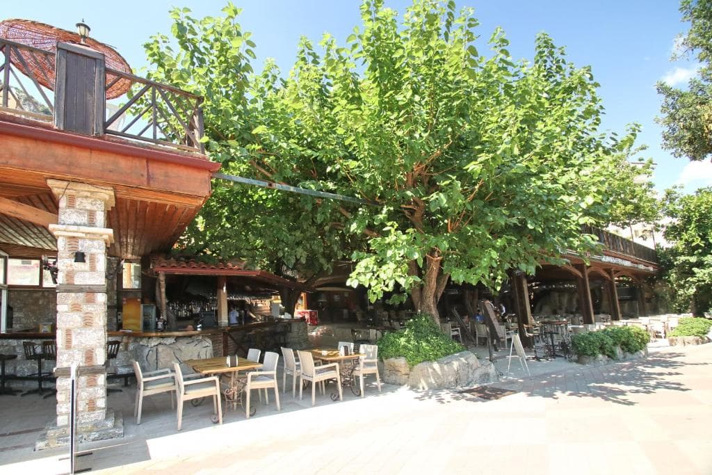 Golmar Beach Hotel - 15