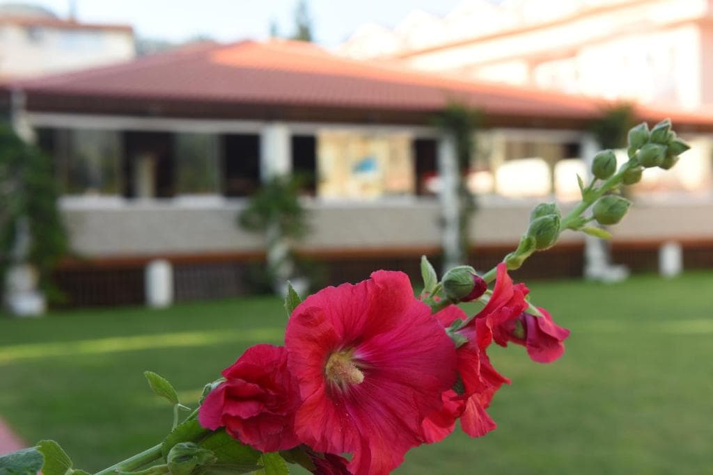 Turquoise Hotel Oludeniz - 31