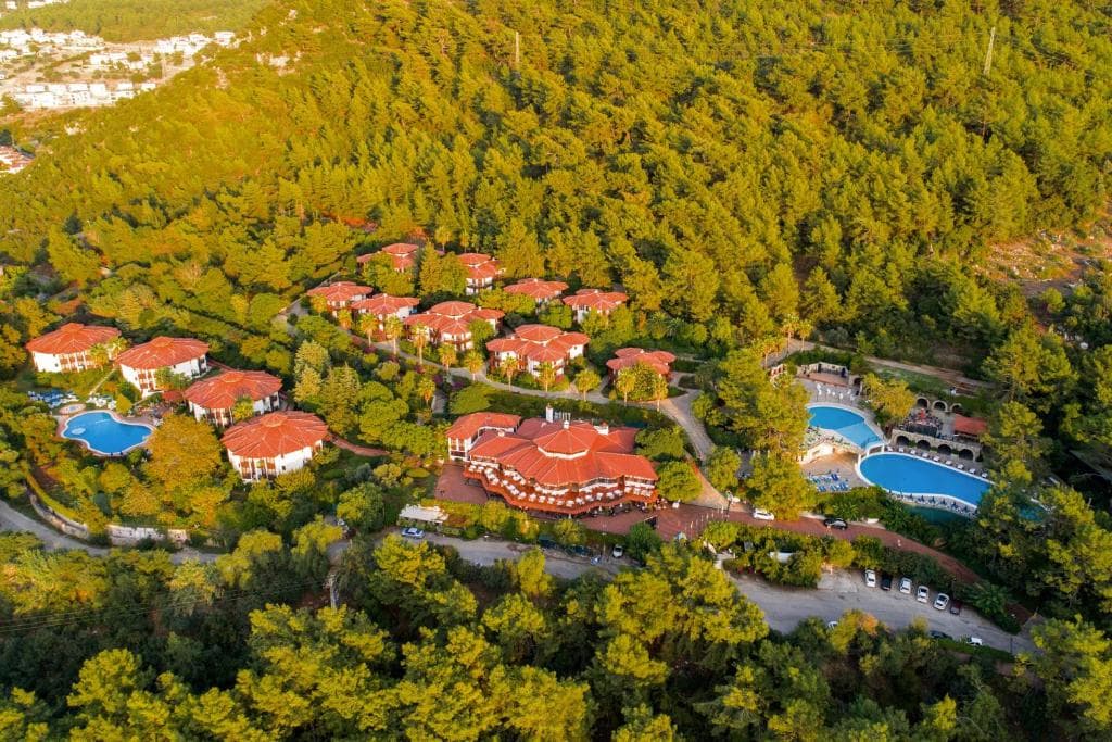 Montana Pine Resort - 9