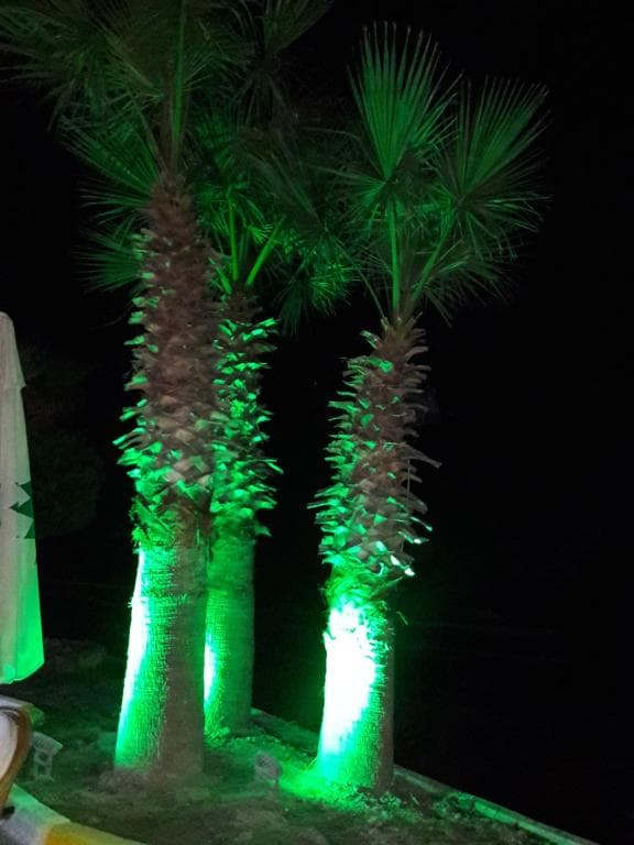 Hotel Sunday Beach - 33