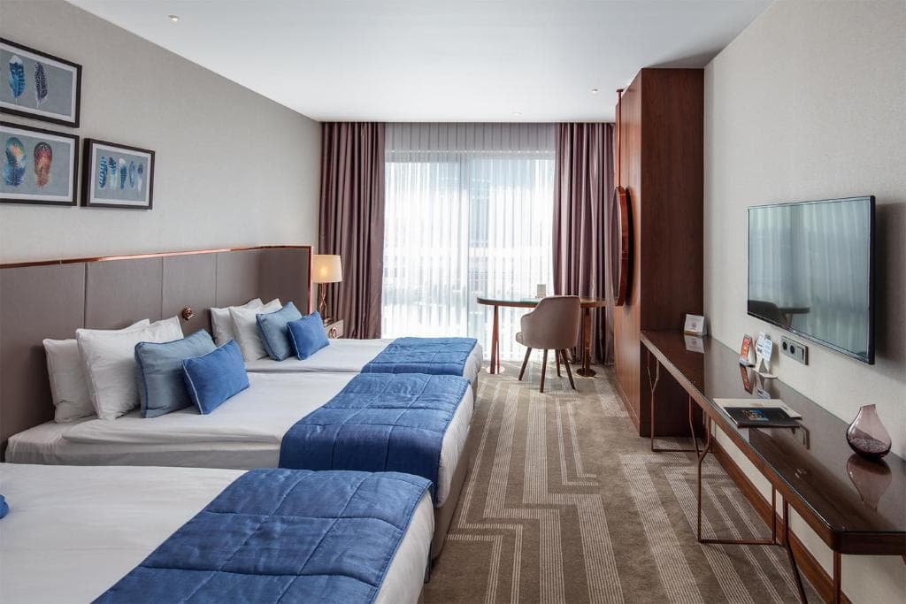 Lionel Hotel Istanbul - 33