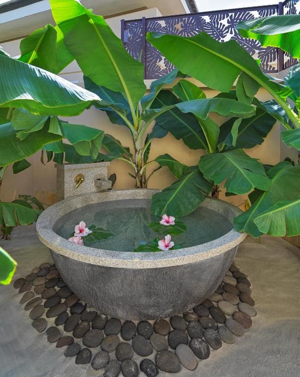 Royal River Luxury - 15