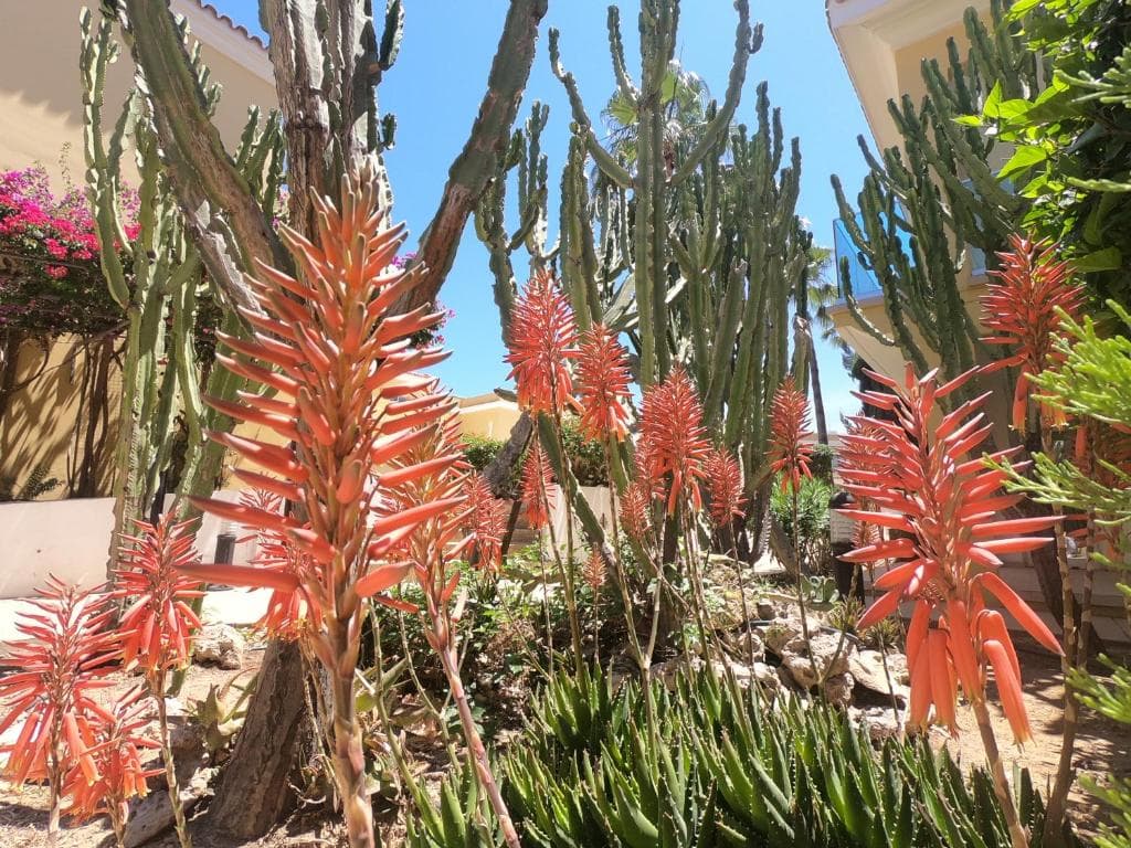 Malama Beach Holiday Village - 18