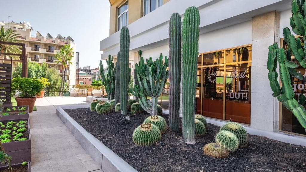 Be Live Adults Only Tenerife - 30