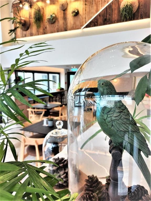 Roseum Boutique Hotel - 22