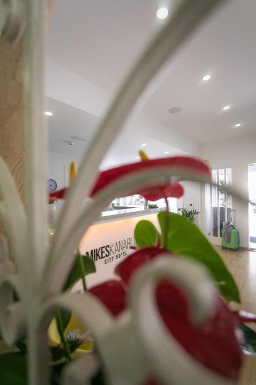 Mikes Kanarium Hotel - 22