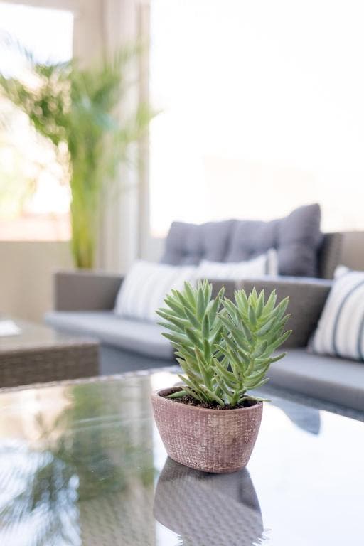 Mikes Kanarium Hotel - 57