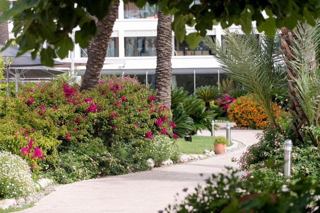 Tui Blue Grand Azur - 90