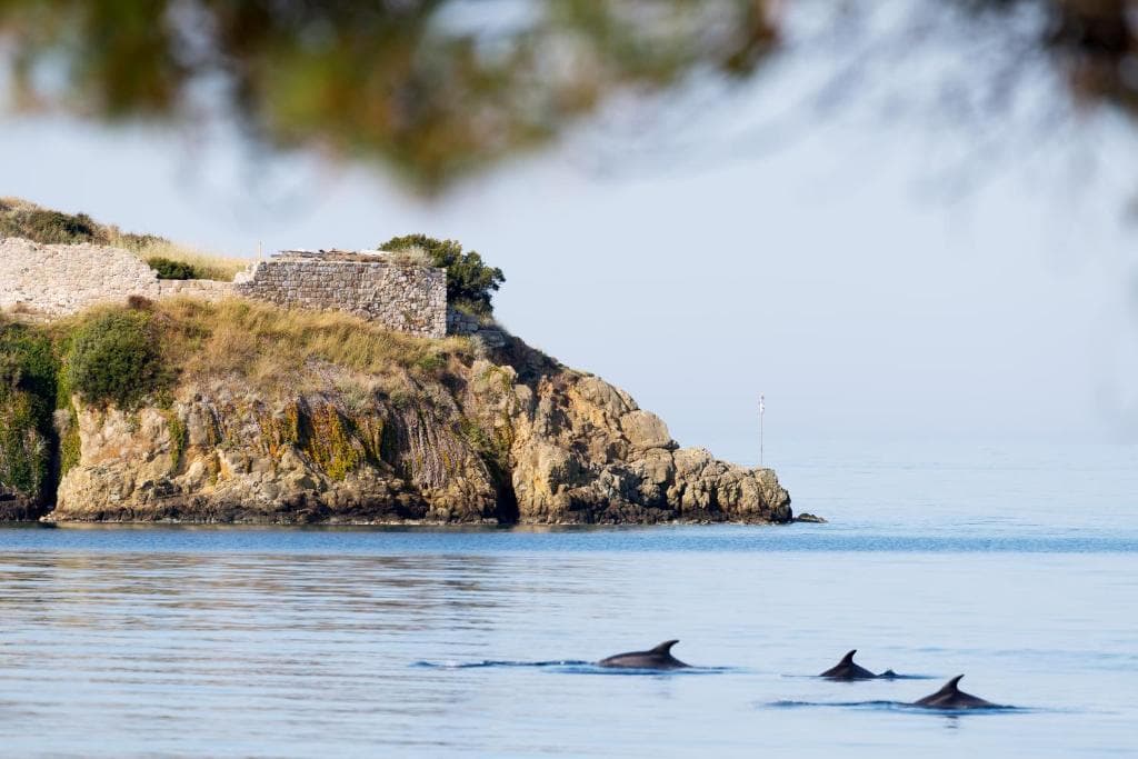 Akti Toroni Boutique Hotel - 32