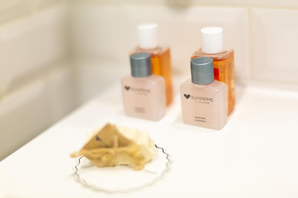 Sunprime C-Lounge - Adult Only - 16