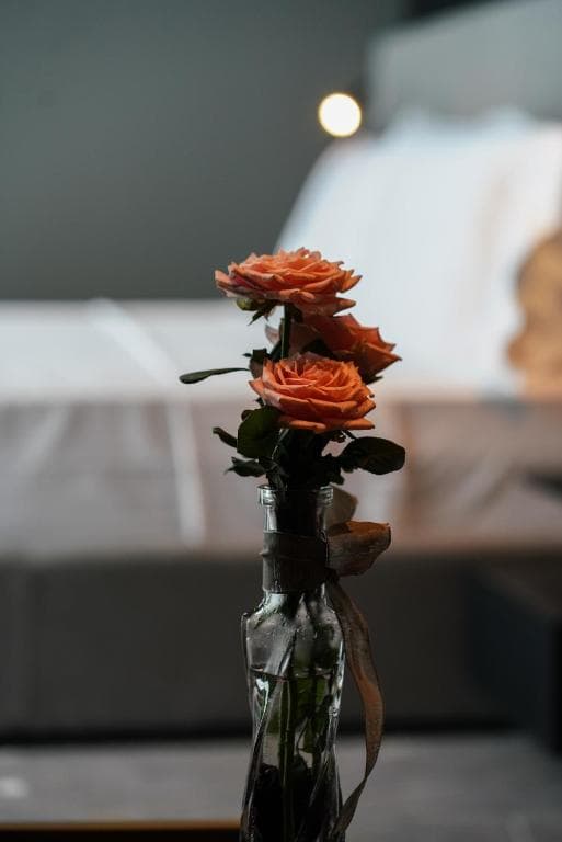 Hotel Boutique The Central View - 22