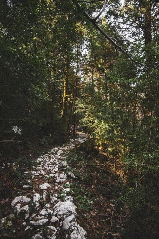 Hotel Llogora Tourist Village - 7