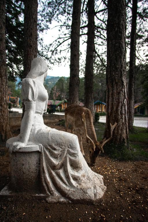 Hotel Llogora Tourist Village - 14