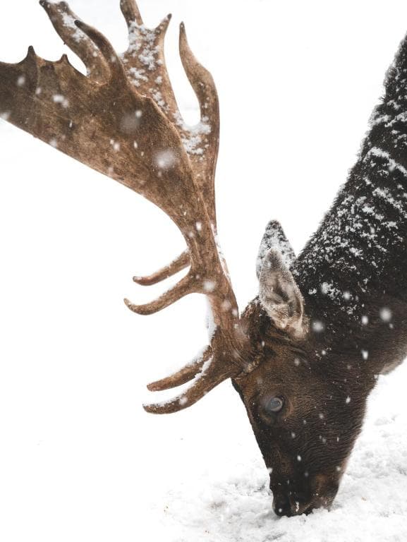 Hotel Llogora Tourist Village - 16